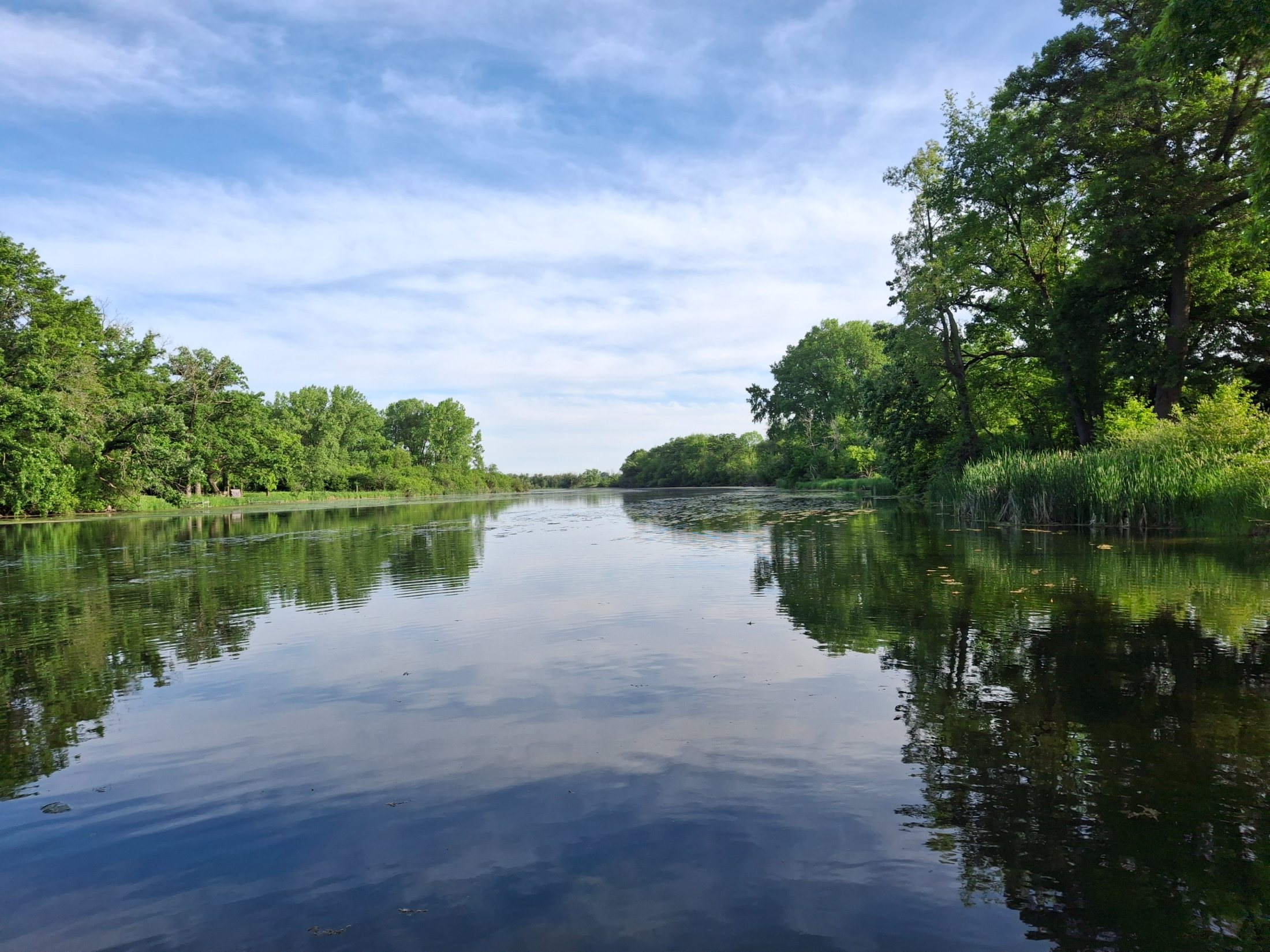 The Yahara River near Stoughton, Wisconsin